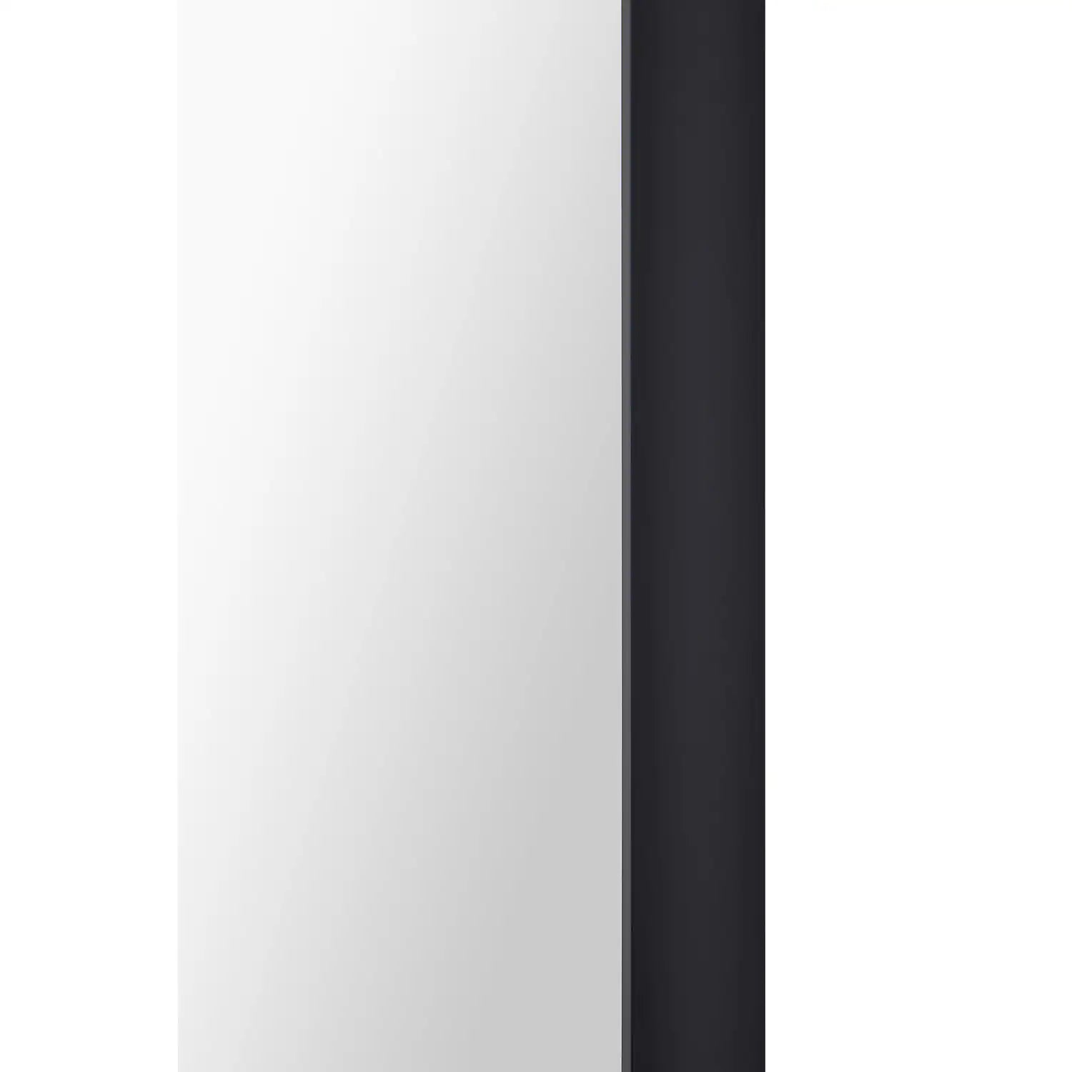 RENWIL GLENCOE RECTANGLE WALL MIRROR - Mirrors