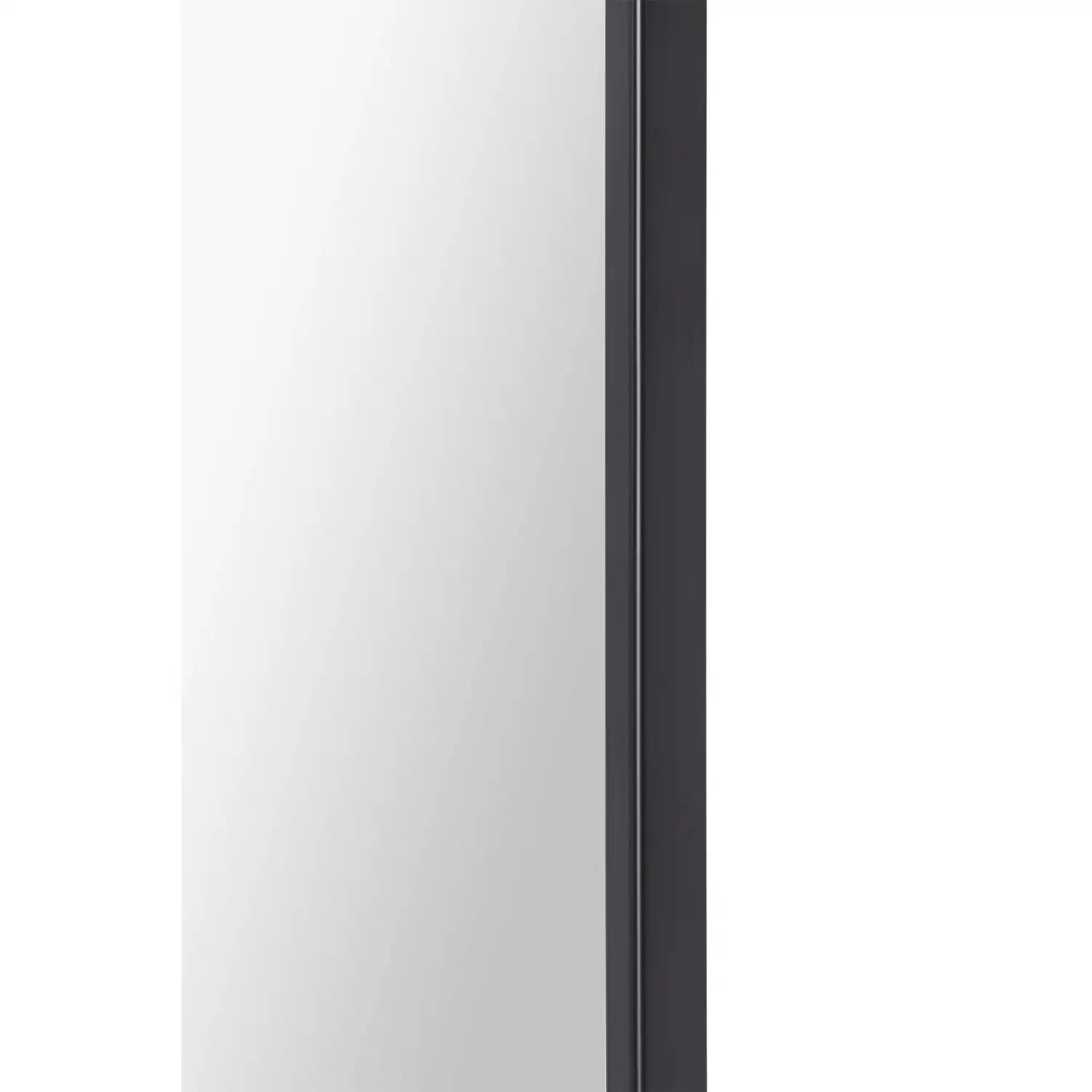 RENWIL AMARA RECTANGLE WALL MIRROR - Mirrors
