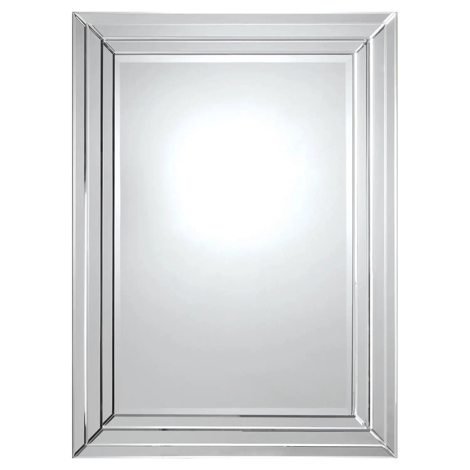 RENWIL BRYSE RECTANGLE WALL MIRROR - Mirrors
