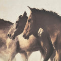 RENWIL ARES CANVAS ART - Art