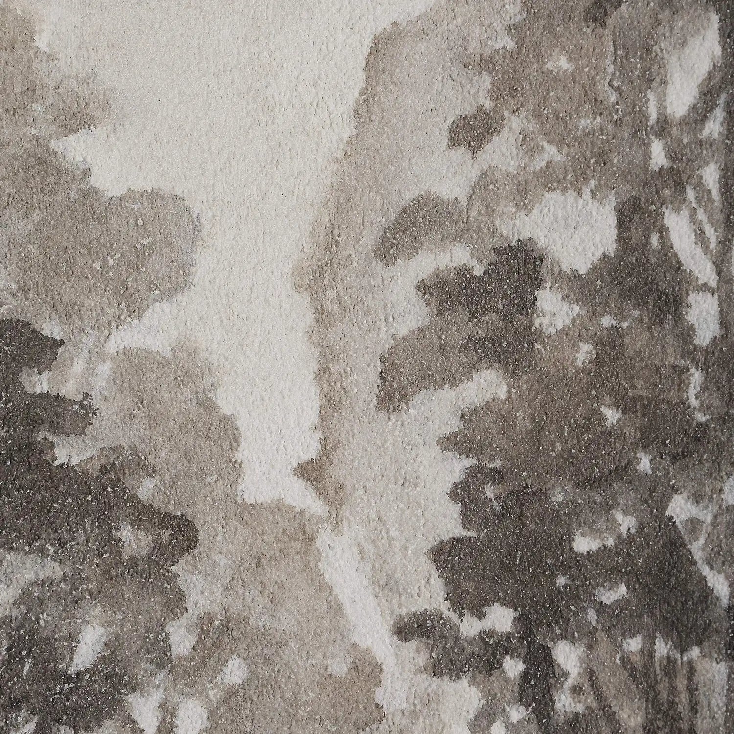 RENWIL BRANCHING OUT CANVAS ART
