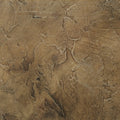 RENWIL ACACIA CANVAS ART - Art