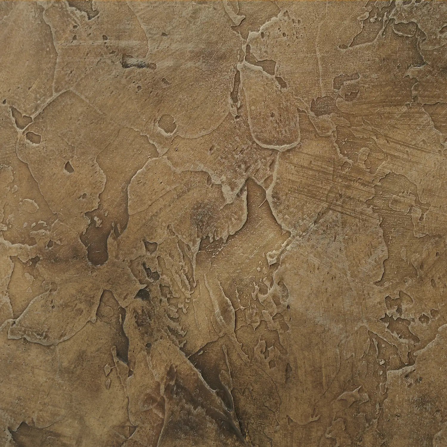 RENWIL ACACIA CANVAS ART - Art