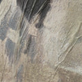 RENWIL OL2299 - Art