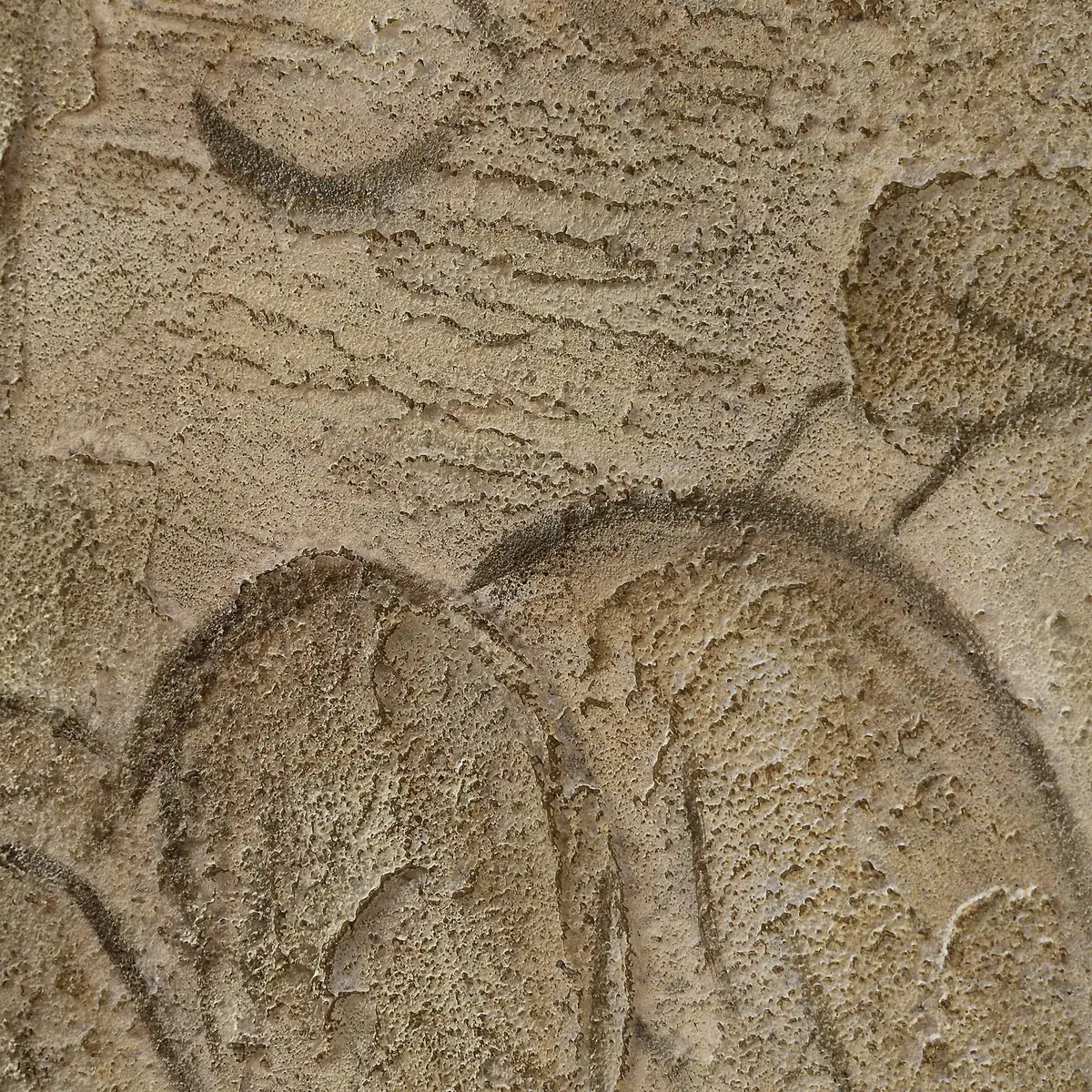 RENWIL OL2302 - Art