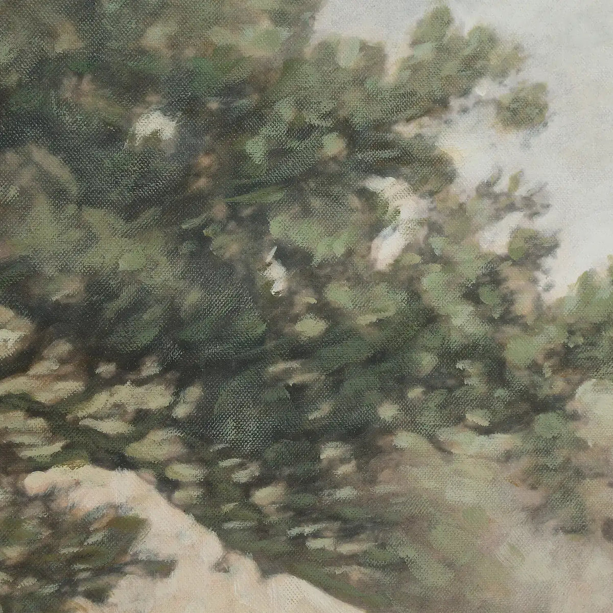 RENWIL OL2352 - Art