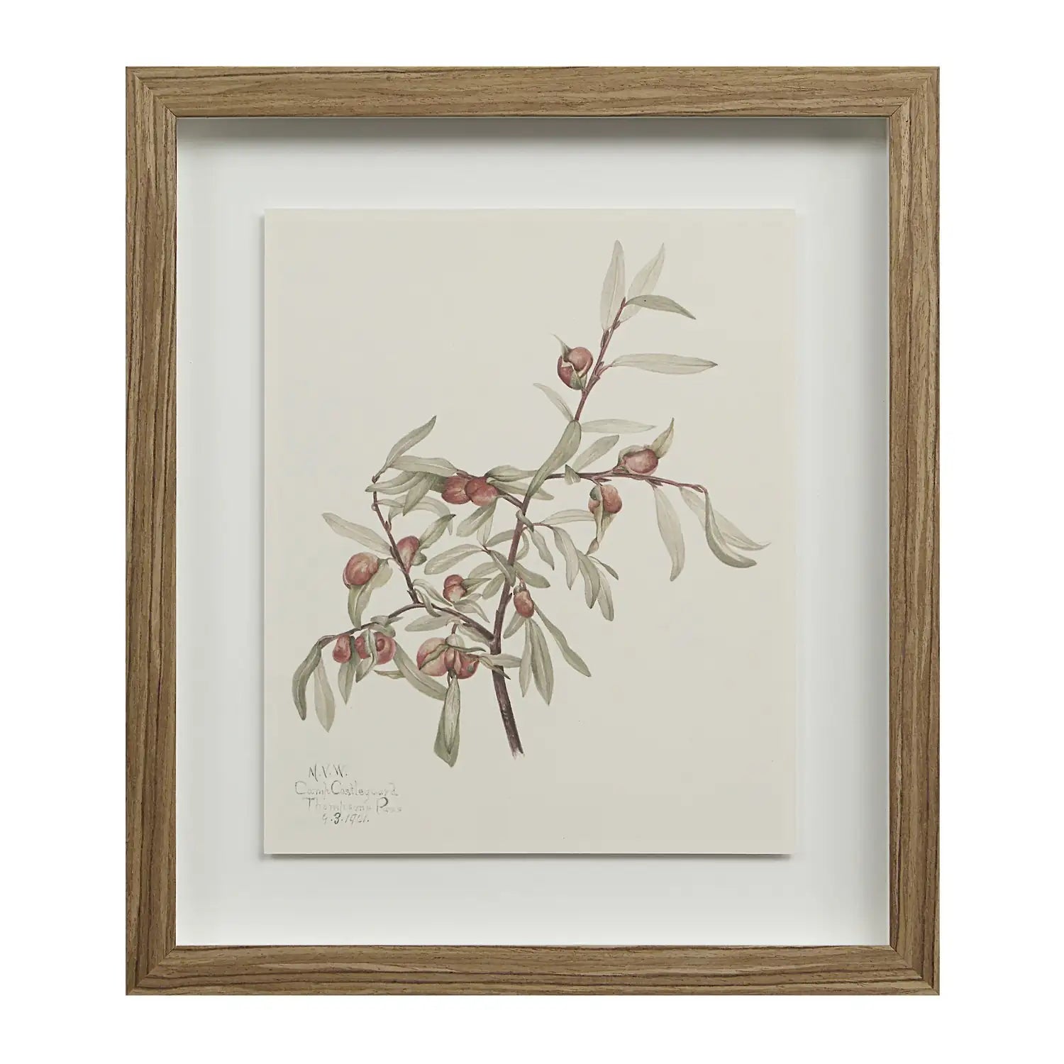RENWIL CREMA WALL DECOR - Decorative Accents