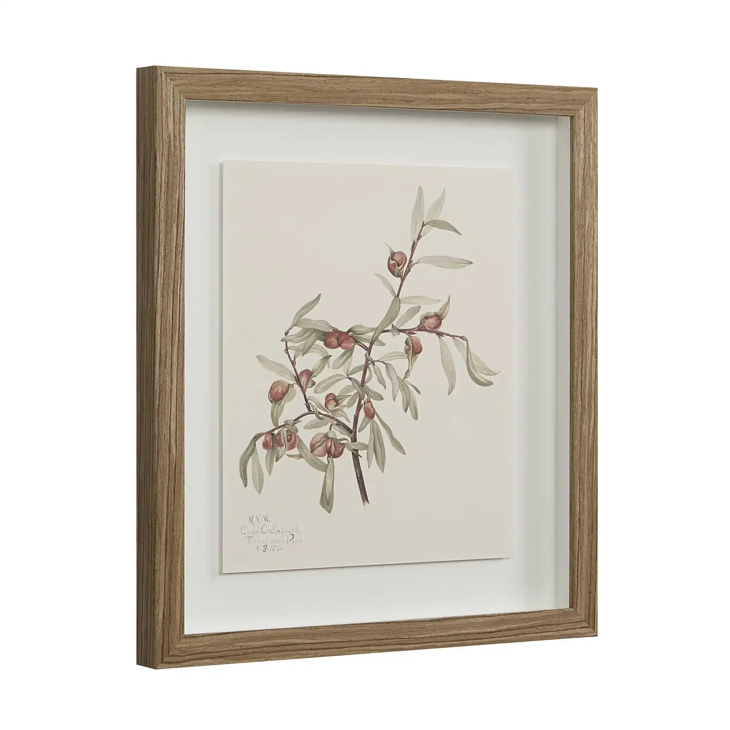 RENWIL CREMA WALL DECOR - Decorative Accents