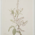 RENWIL CREMA WALL DECOR - Decorative Accents