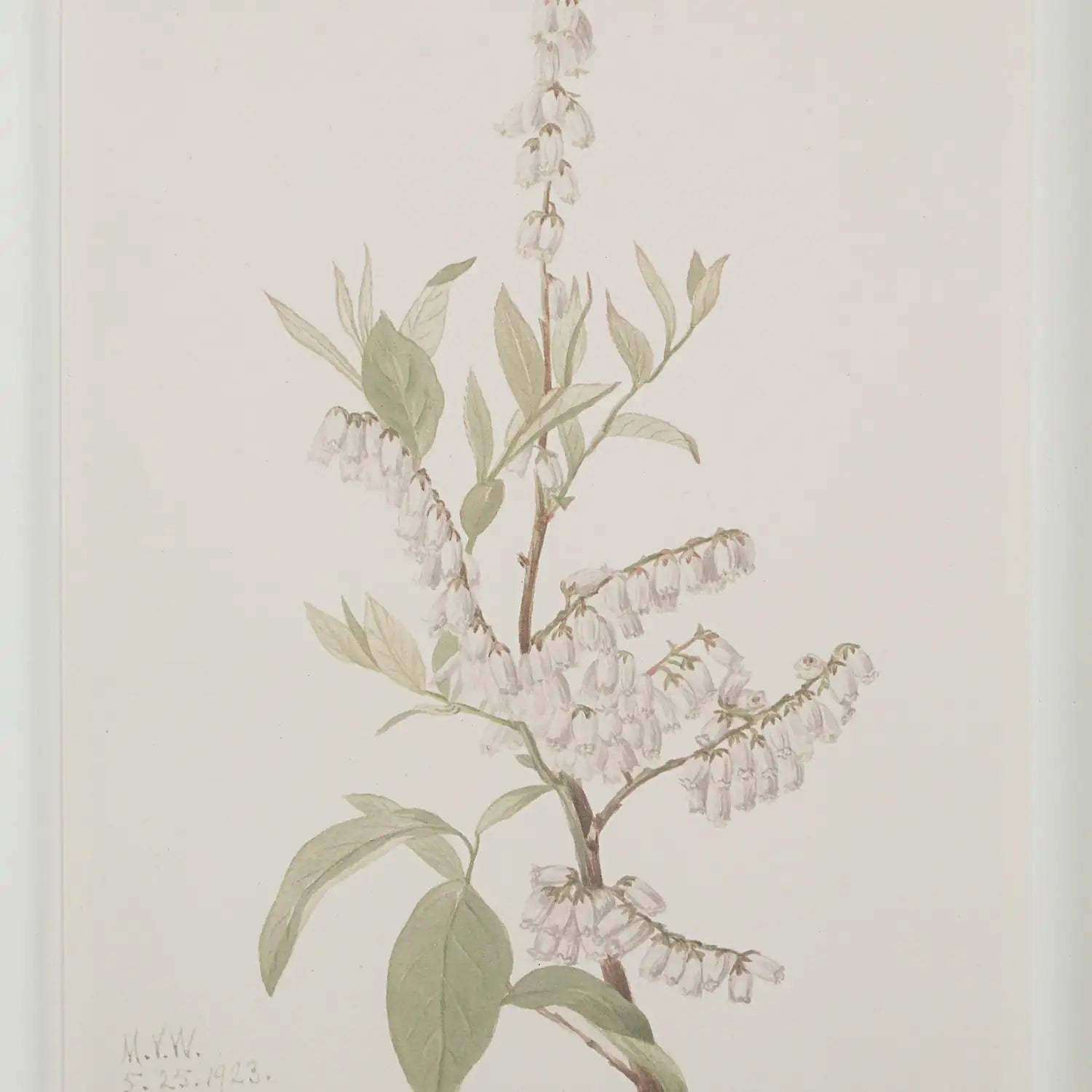 RENWIL CREMA WALL DECOR - Decorative Accents