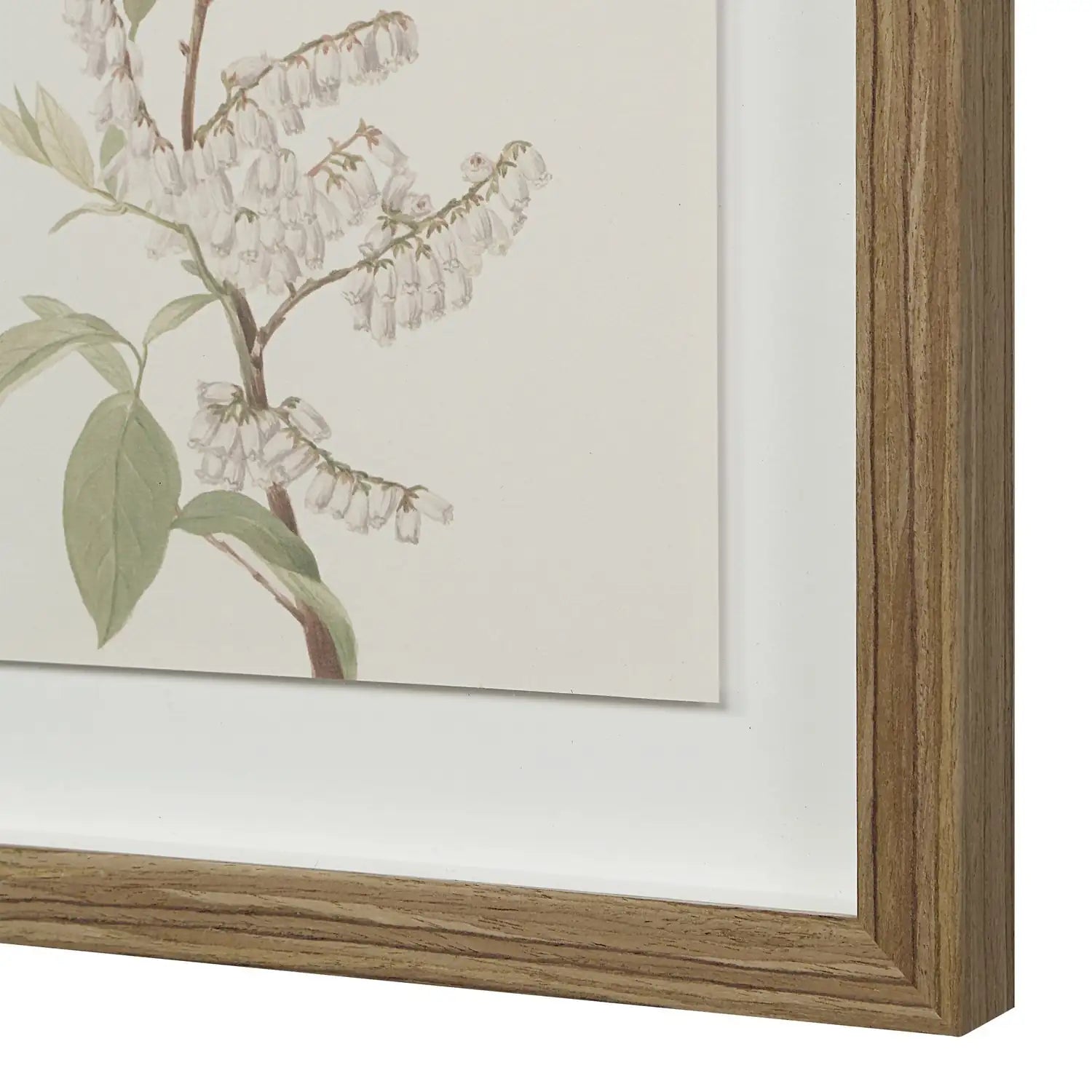 RENWIL CREMA WALL DECOR - Decorative Accents
