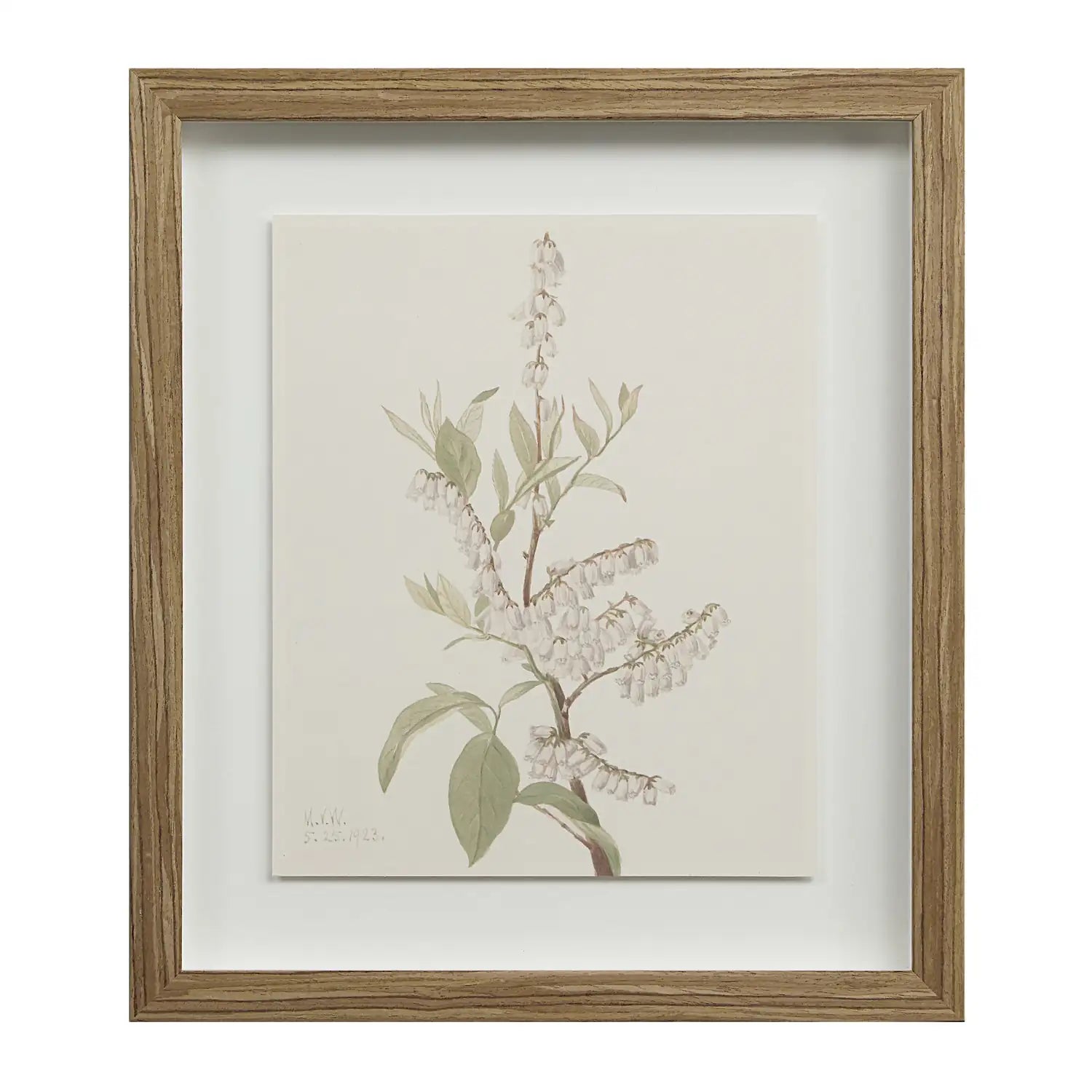 RENWIL CREMA WALL DECOR - Decorative Accents