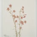RENWIL CREMA WALL DECOR - Decorative Accents