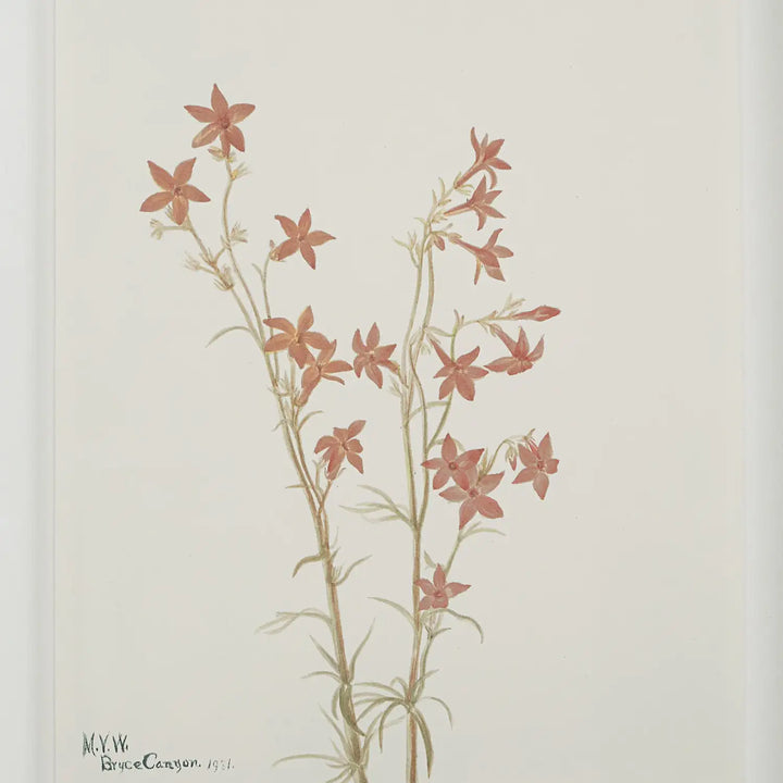 RENWIL CREMA WALL DECOR - Decorative Accents