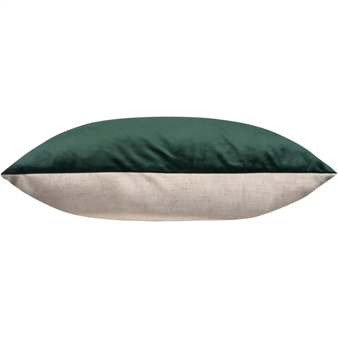 RENWIL OLIVE INDOOR PILLOW - Decorative Accents