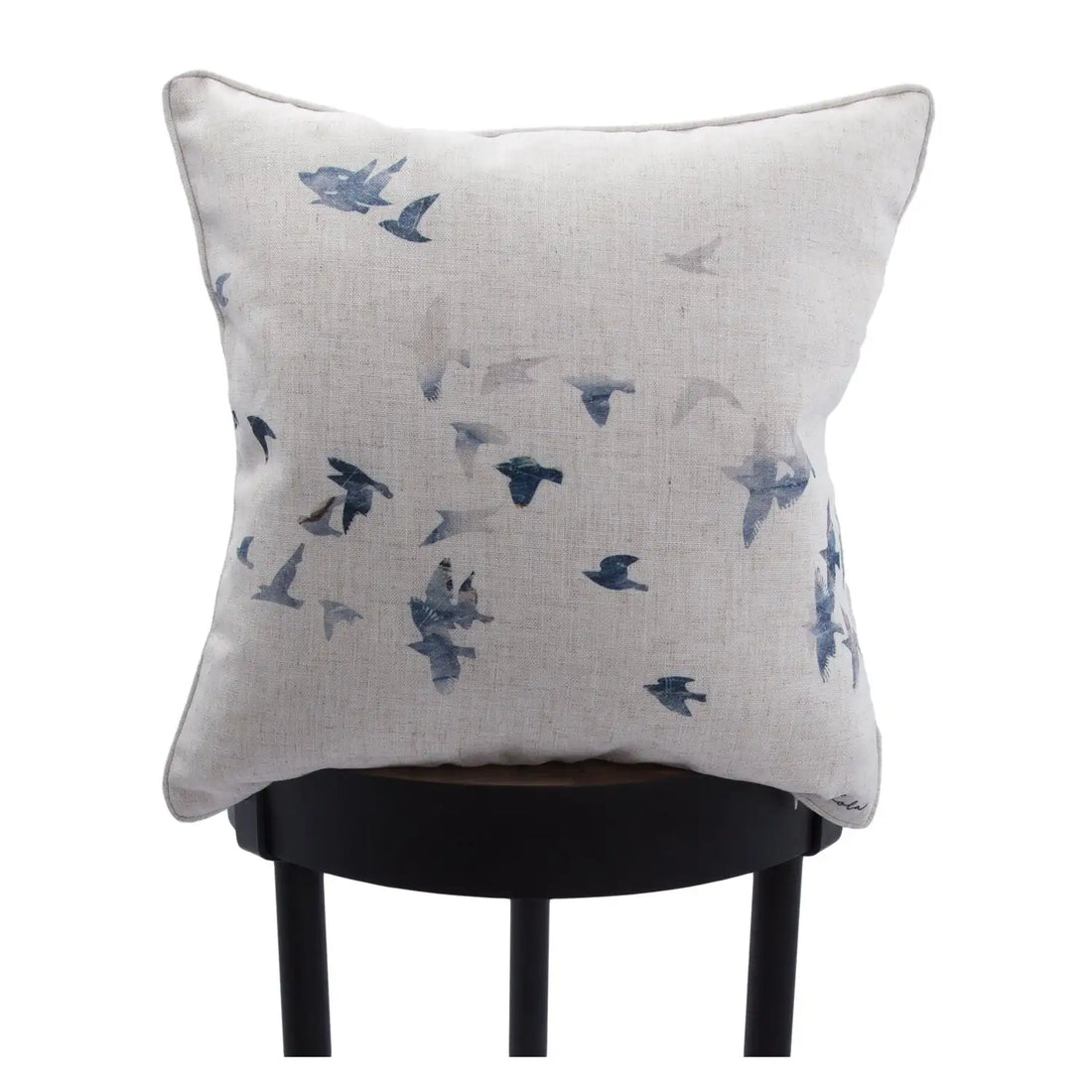 RENWIL FLIGHT INDOOR PILLOW - Decorative Accents