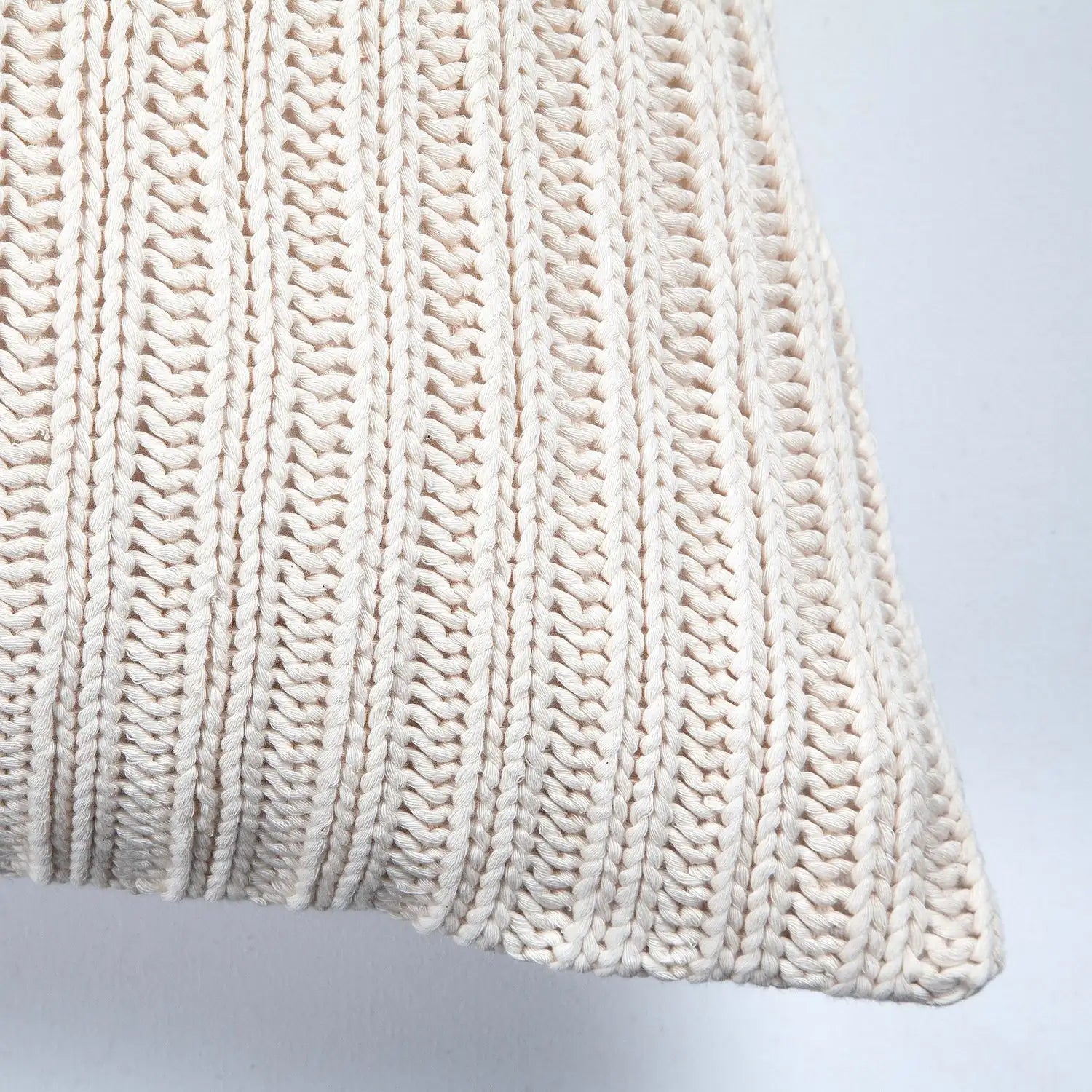 RENWIL ROBERTO INDOOR PILLOW - Decorative Accents