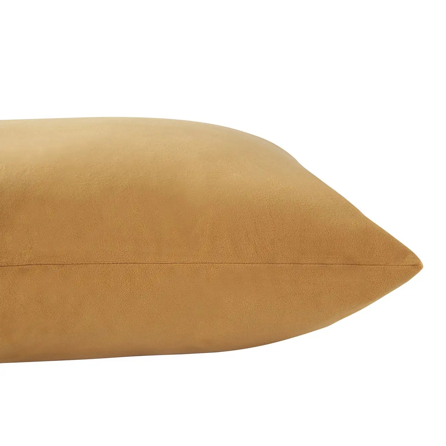 RENWIL JONQUIL INDOOR PILLOW - Decorative Accents