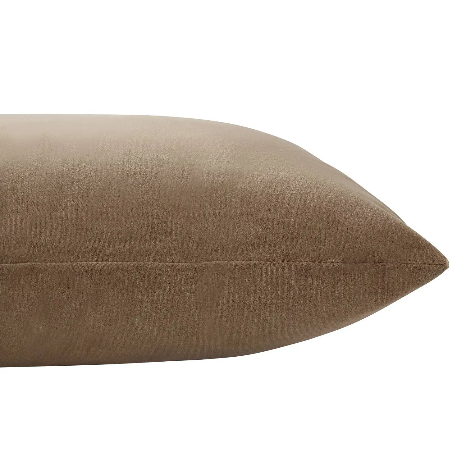 RENWIL ALCHEMILLA INDOOR PILLOW - Decorative Accents