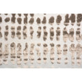 RENWIL ARIELLA INDOOR RUG - Rugs