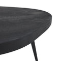 RENWIL PARSON INDOOR MANGO WOOD COFFEE TABLE MATTE - Coffee