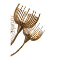 SAVOY HOUSE, PROTEA CHANDELIER, CHANDELIER LIGHT