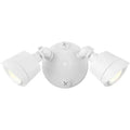 SAVOY LIGHTING ASSETS OUTDOOR: FLOOD