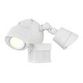 SAVOY LIGHTING ASSETS OUTDOOR: FLOOD