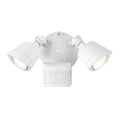 SAVOY LIGHTING ASSETS OUTDOOR: FLOOD