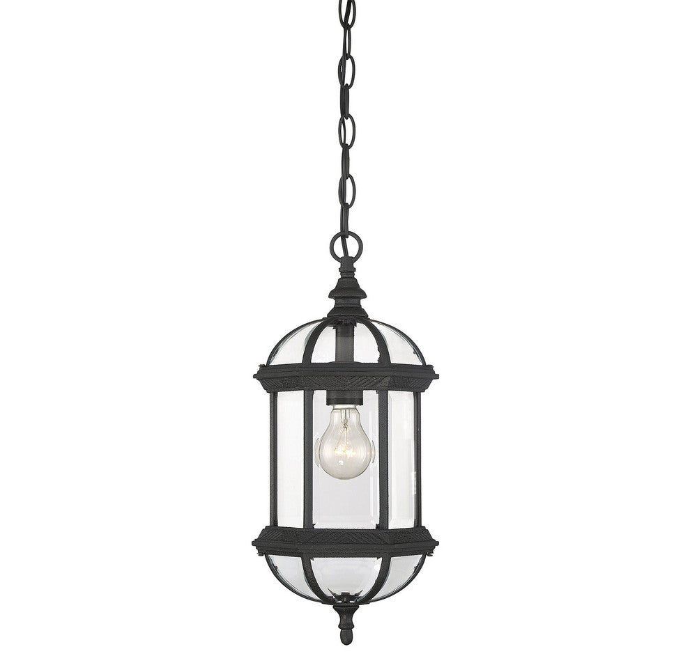 SAVOY HOUSE, KENSINGTON OUTDOOR: HANGING LANTERN, OUTDOOR CEILING LIGHTS
