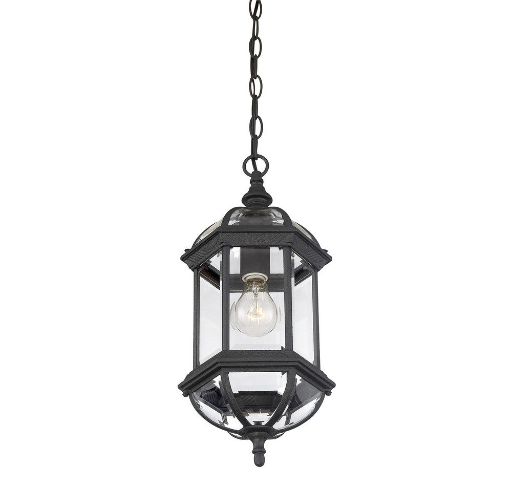 SAVOY HOUSE, KENSINGTON OUTDOOR: HANGING LANTERN, OUTDOOR CEILING LIGHTS