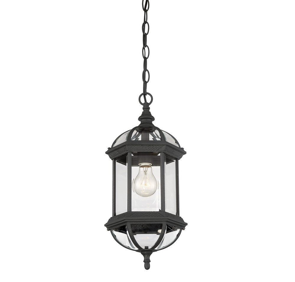 SAVOY HOUSE, KENSINGTON OUTDOOR: HANGING LANTERN, OUTDOOR CEILING LIGHTS