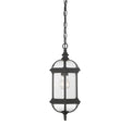 SAVOY HOUSE, KENSINGTON OUTDOOR: HANGING LANTERN, OUTDOOR CEILING LIGHTS