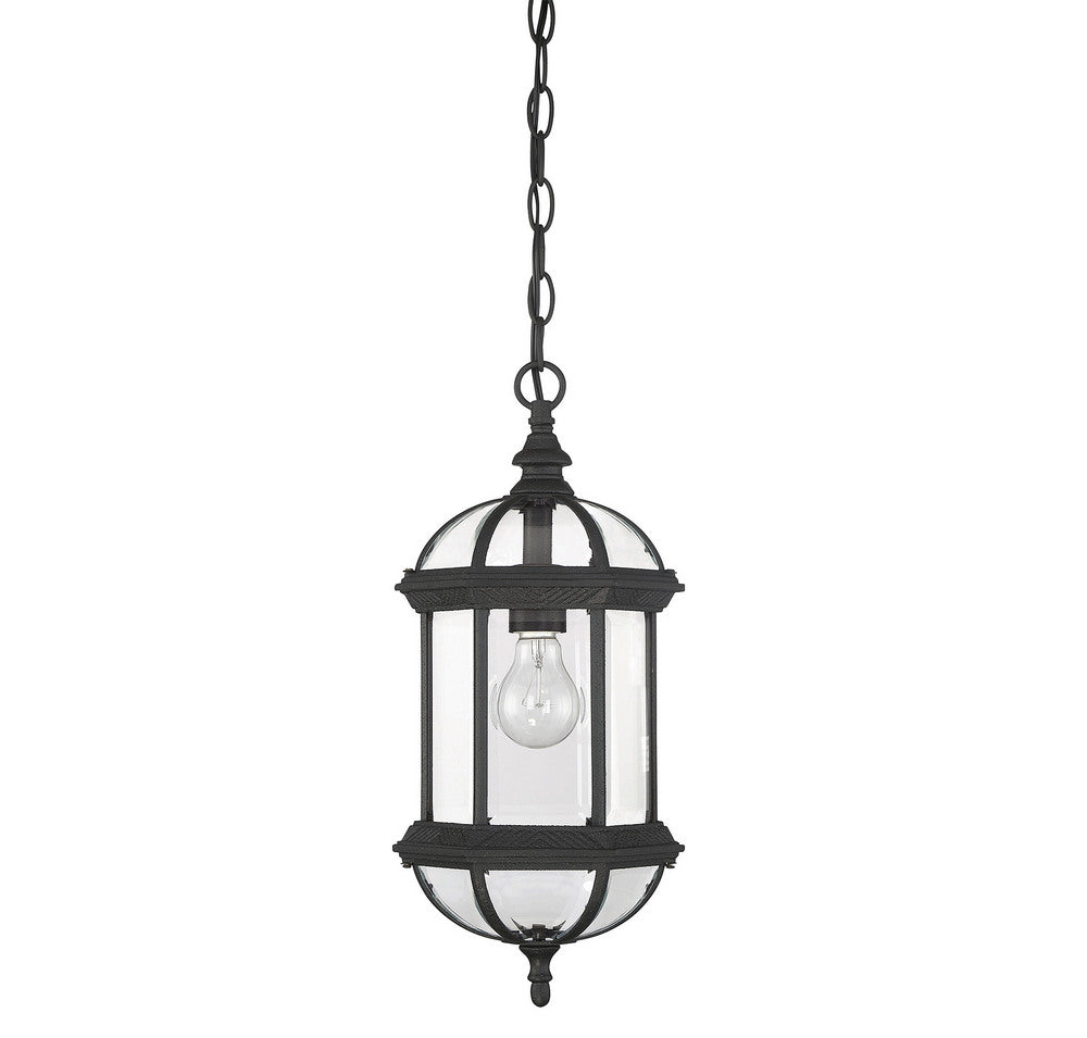 SAVOY HOUSE, KENSINGTON OUTDOOR: HANGING LANTERN, OUTDOOR CEILING LIGHTS