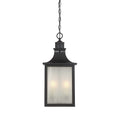 SAVOY HOUSE, MONTE GRANDE OUTDOOR: HANGING LANTERN | 5-256-13, OUTDOOR CEILING LIGHTS