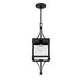 SAVOY HOUSE, RAEBURN OUTDOOR: HANGING LANTERN | 5-475-144, OUTDOOR CEILING LIGHTS