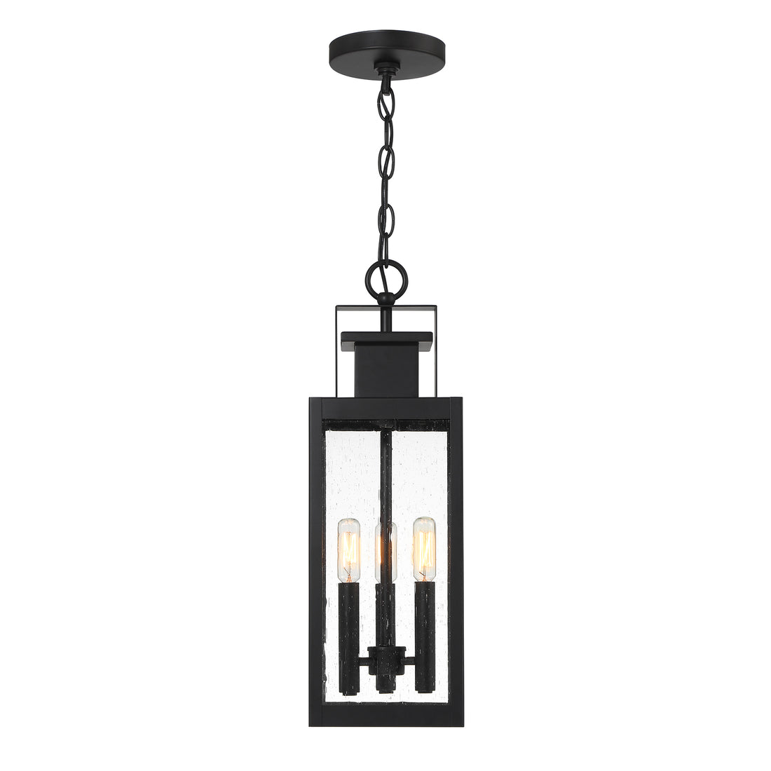 SAVOY HOUSE, ASCOTT OUTDOOR: HANGING LANTERN | 5-827-BK, OUTDOOR CEILING LIGHTS