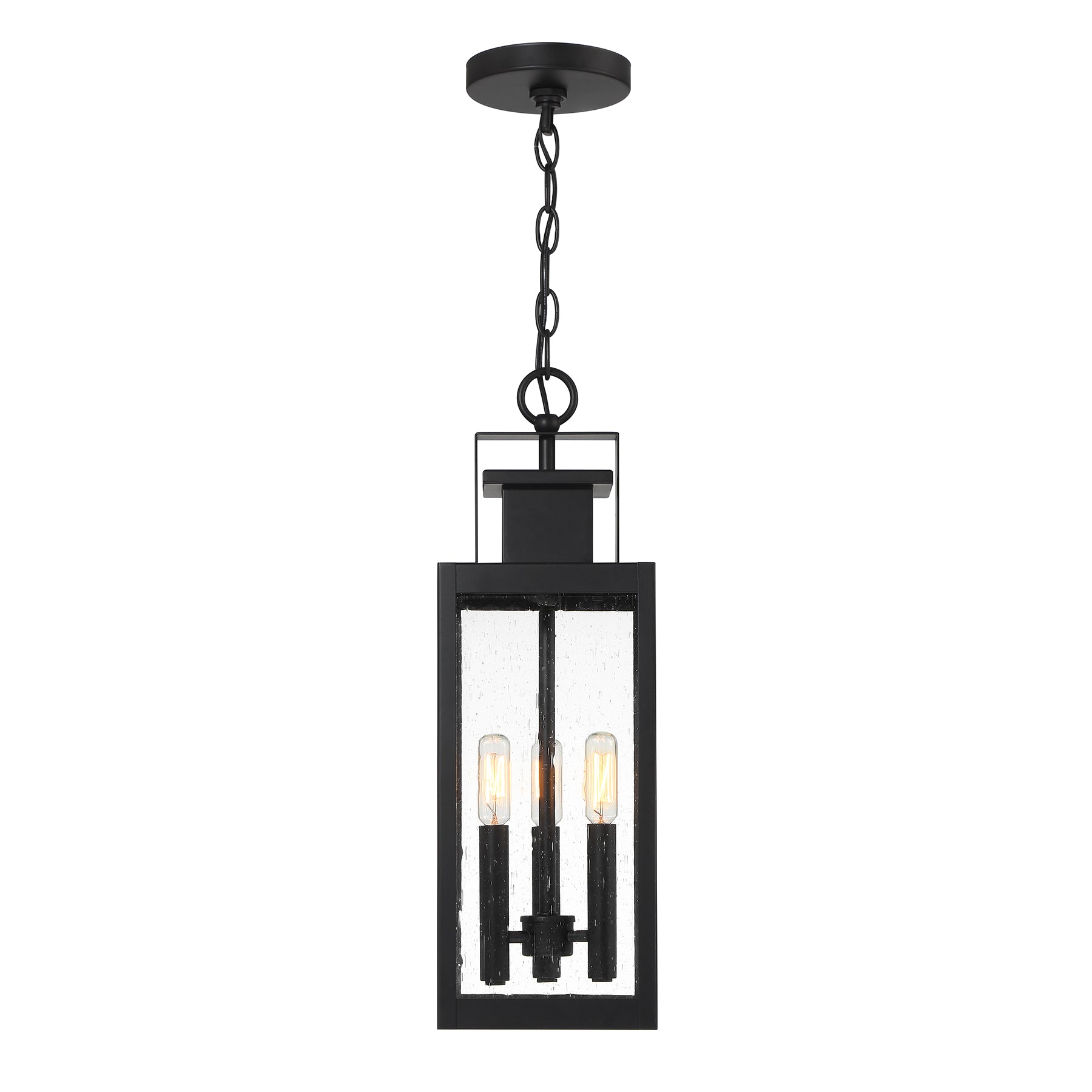 SAVOY HOUSE, ASCOTT OUTDOOR: HANGING LANTERN | 5-827-BK, OUTDOOR CEILING LIGHTS