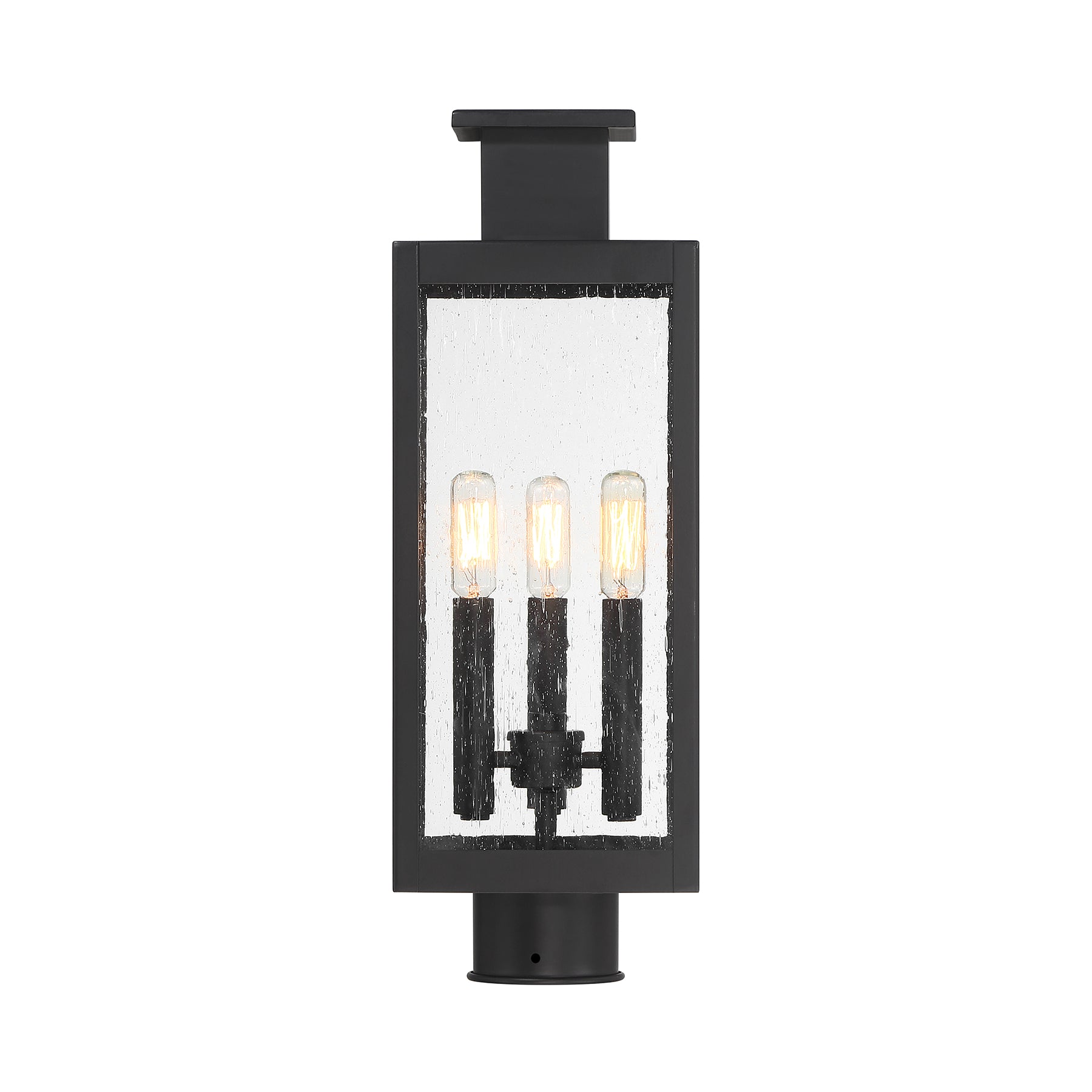 SAVOY HOUSE ASCOTT OUTDOOR: POST LANTERN | 5-828-BK