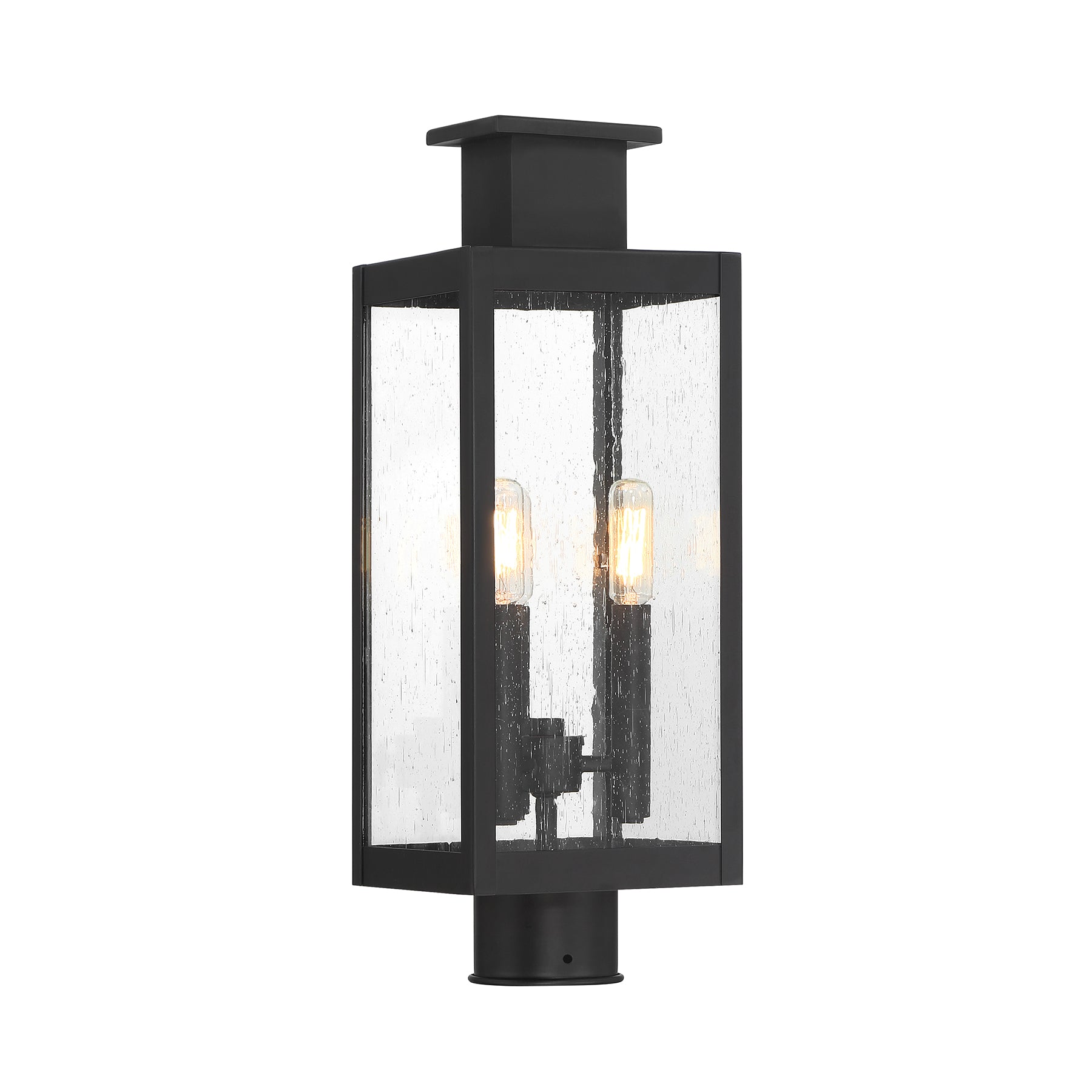 SAVOY HOUSE ASCOTT OUTDOOR: POST LANTERN | 5-828-BK