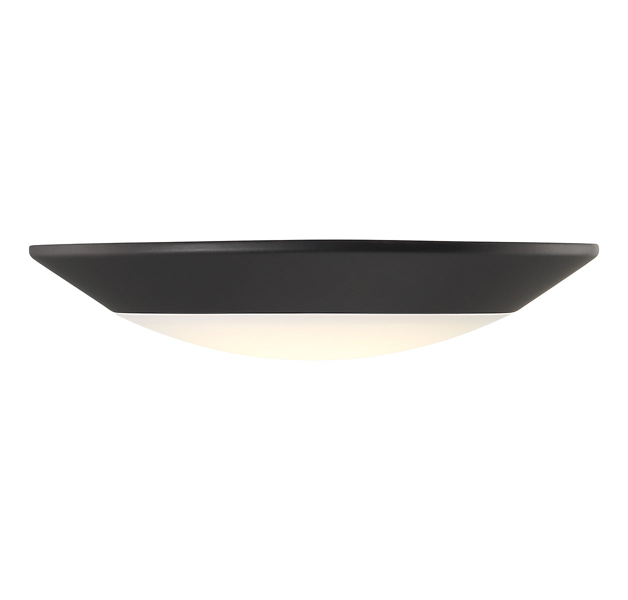 SAVOY LIGHTING ASSETS BLACK DISC