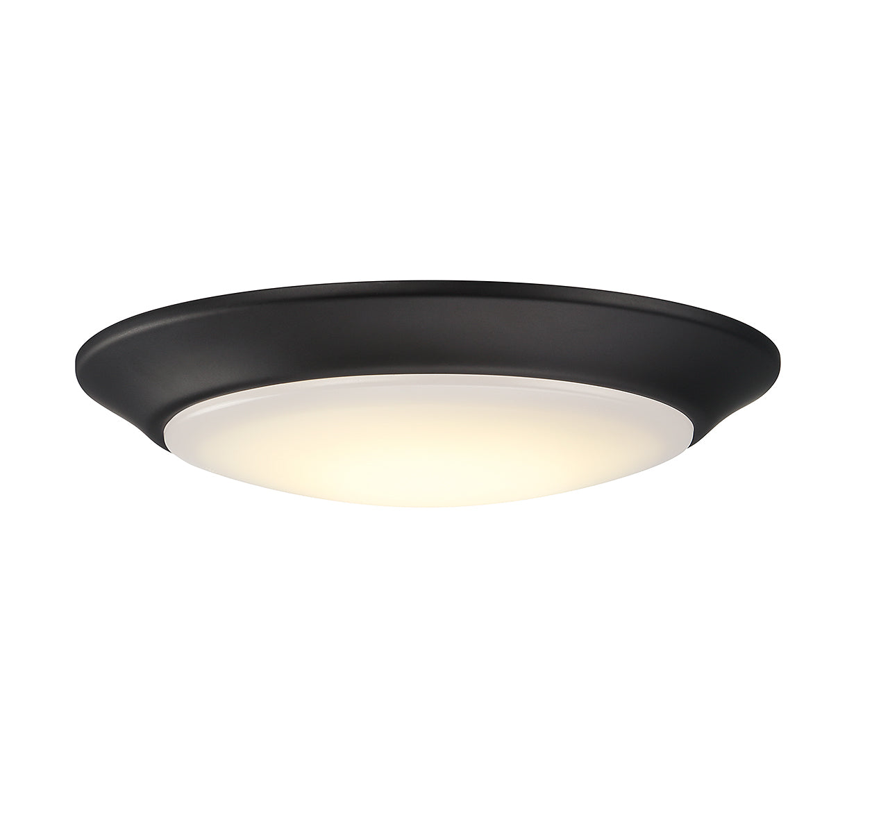 SAVOY LIGHTING ASSETS BLACK DISC