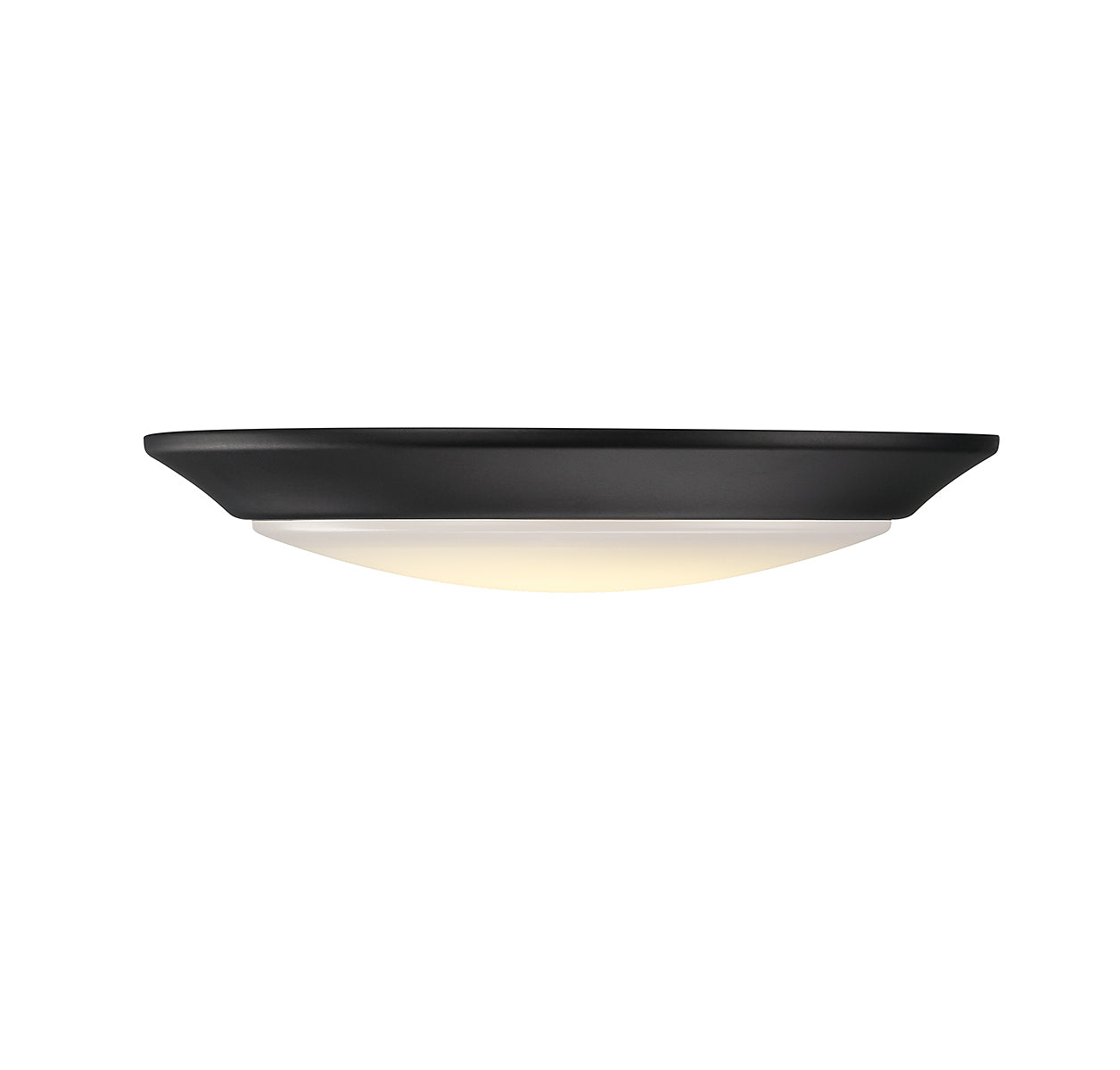 SAVOY LIGHTING ASSETS BLACK DISC
