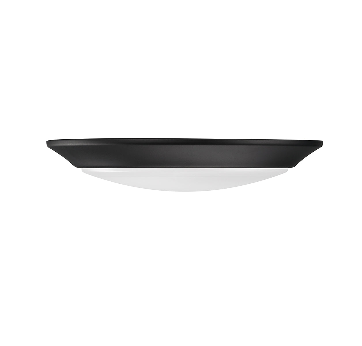 SAVOY LIGHTING ASSETS BLACK DISC