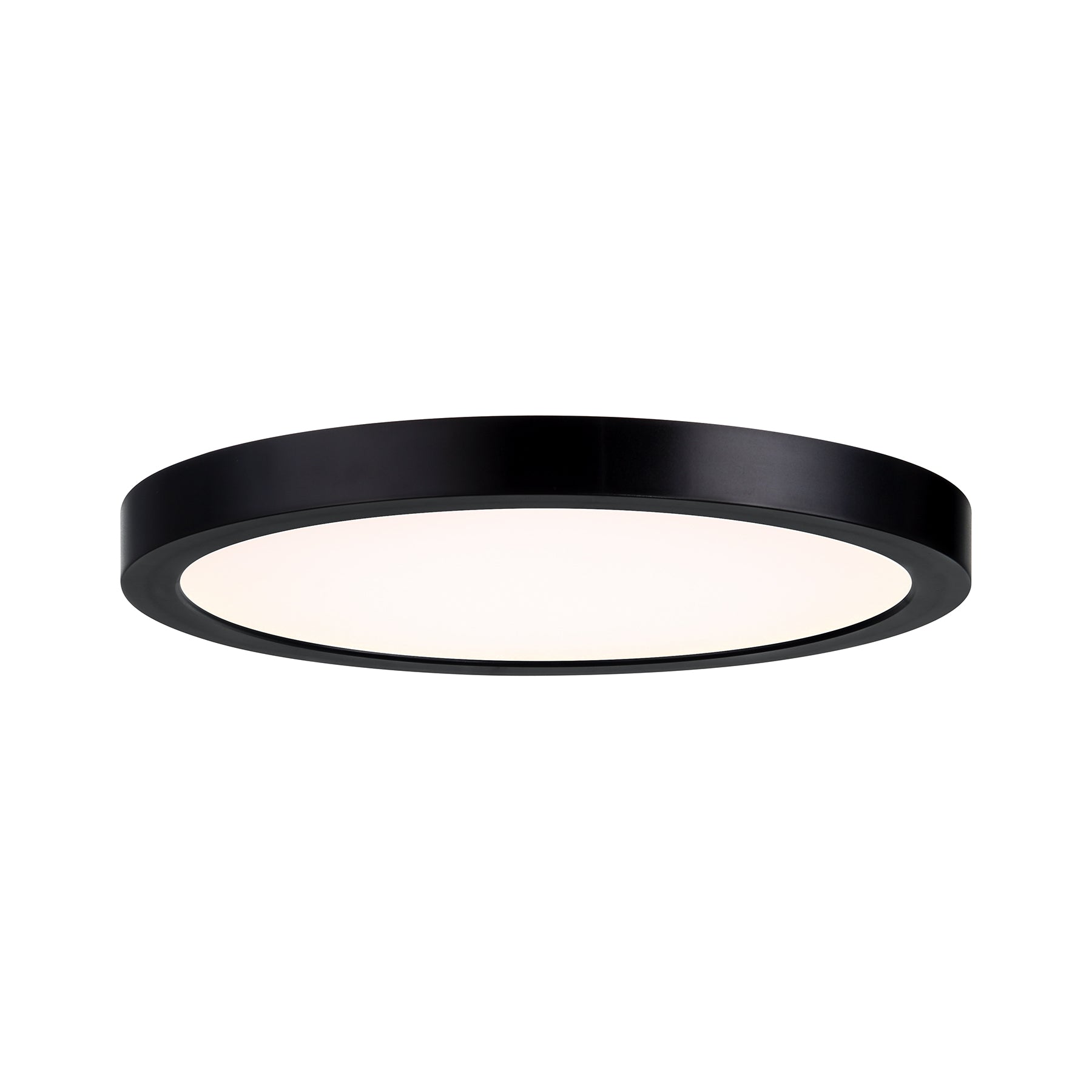 SAVOY LIGHTING ASSETS, BLACK FLUSH MOUNT, FLUSH MOUNT CEILING LIGHTS