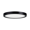 SAVOY LIGHTING ASSETS, BLACK FLUSH MOUNT, FLUSH MOUNT CEILING LIGHTS