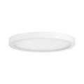 SAVOY LIGHTING ASSETS, WHITE FLUSH MOUNT, FLUSH MOUNT CEILING LIGHTS