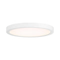 SAVOY LIGHTING ASSETS, WHITE FLUSH MOUNT, FLUSH MOUNT CEILING LIGHTS