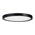 SAVOY LIGHTING ASSETS, BLACK FLUSH MOUNT, FLUSH MOUNT CEILING LIGHTS