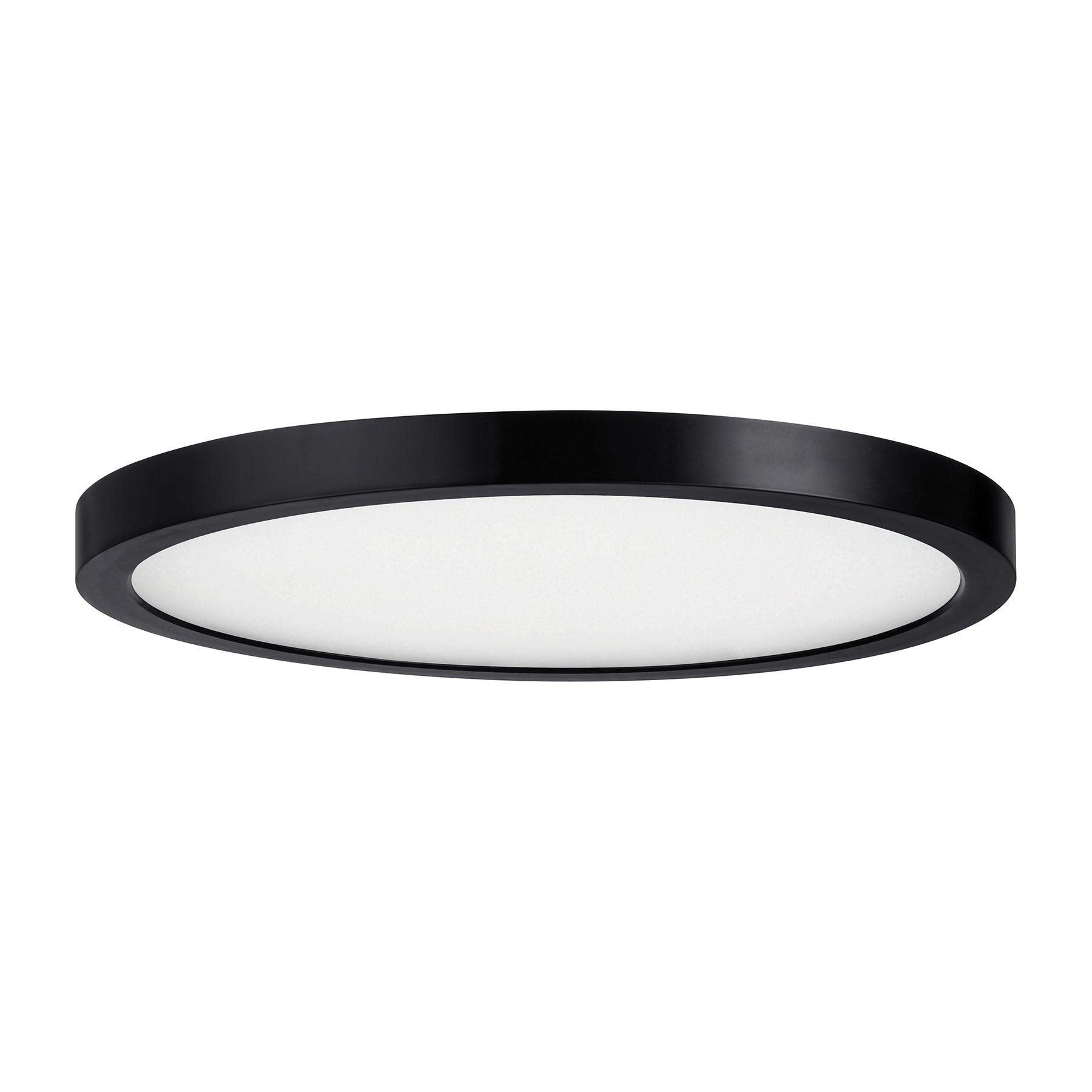 SAVOY LIGHTING ASSETS, BLACK FLUSH MOUNT, FLUSH MOUNT CEILING LIGHTS